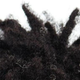 From the cover of Bert Ashe’s new book, Twisted: My Dreadlock Chronicles
Agate